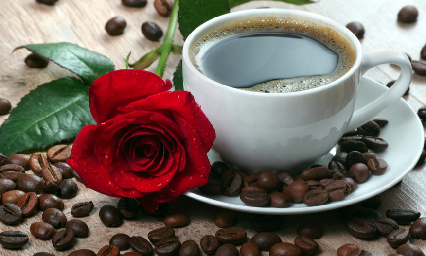 Kaffekopp og rose